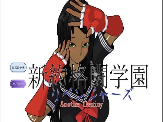 新約格闘学園 リベンジャーズ Another Destiny (同人誌)