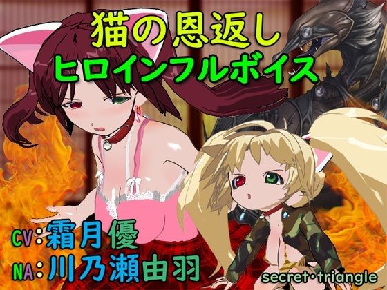 猫の恩返し (同人誌)