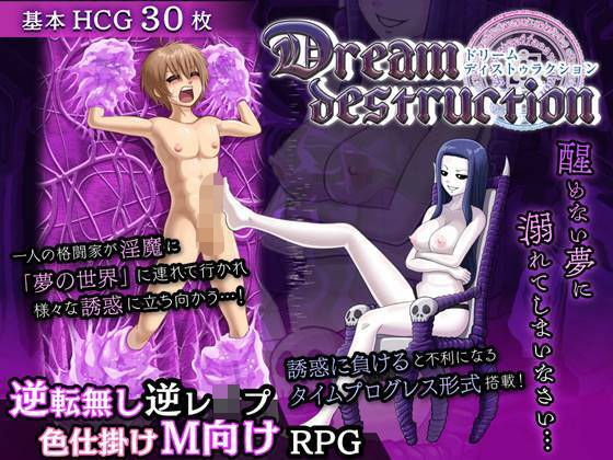 ドリームディストゥラクション (同人誌)