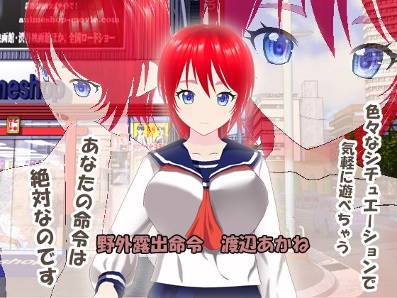 野外露出命令 渡辺あかね (同人誌)