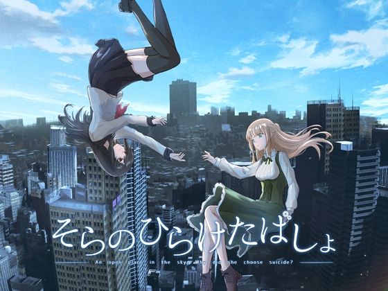 そらのひらけたばしょ (同人誌)