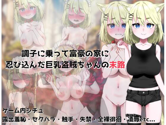 調子に乗って富豪の家に忍び込んだ巨乳盗賊ちゃんの末路 (同人誌)