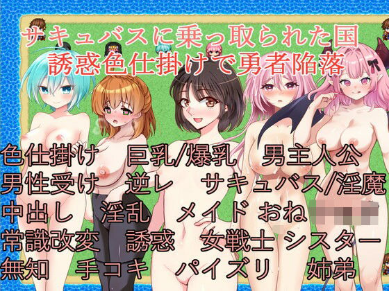 サキュバスに乗っ取られた国〜誘惑色仕掛けで勇者陥落〜 (同人誌)