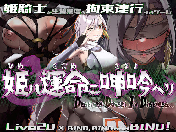 姫ハ運命ニ呻吟ヘリ Destined Damsel In Distress (同人誌)