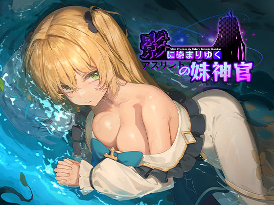 影に染まりゆく〜アスリントの妹神官〜 (同人誌)