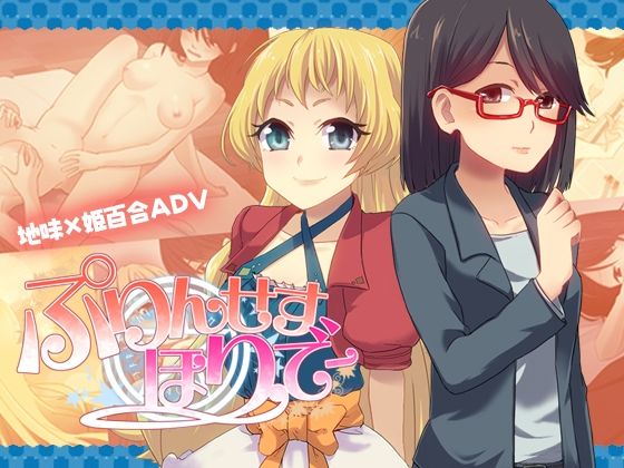 ぷりんせすほりでー (同人誌)