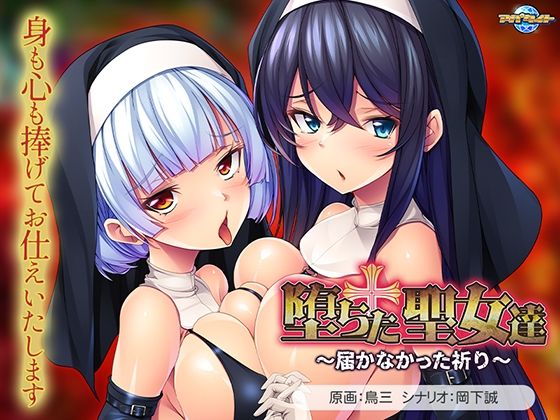 堕ちた聖女達〜届かなかった祈り〜 (同人誌)