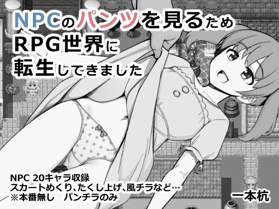 NPCのパンツを見るためRPG世界に転生してきました (同人誌)