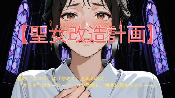 聖女改造計画 (同人誌)
