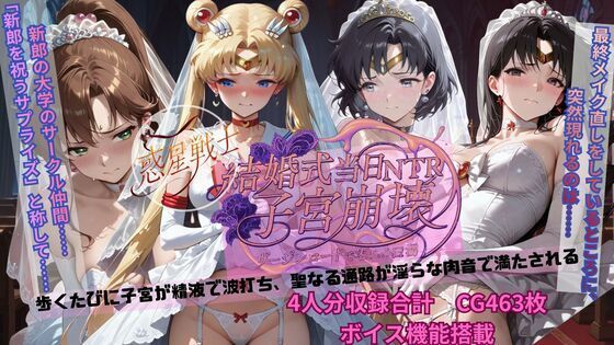 惑星戦士結婚式当日NTR子宮崩壊 (同人誌)