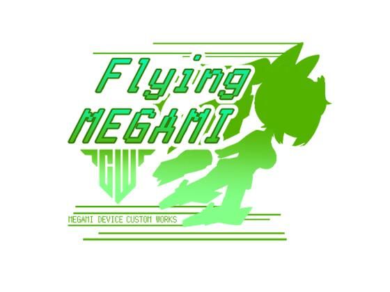 Flying_MEGAMI (同人誌)