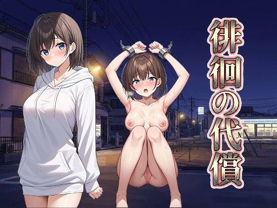 徘徊の代償 (同人誌)