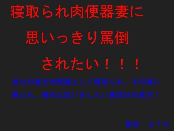 寝取られ肉便器妻に思いっきり罵倒されたい！！！ (同人誌)