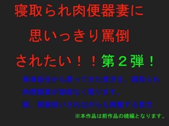 寝取られ肉便器妻に思いっきり罵倒されたい！！ 〜第2弾〜 (同人誌)