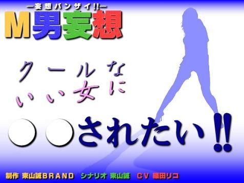 M男妄想 〜クールないい女に○○されたい！！〜 (同人誌)