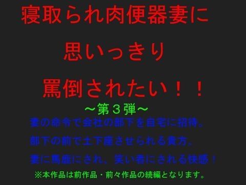 寝取られ肉便器妻に思いっきり罵倒されたい 〜第3弾〜 (同人誌)