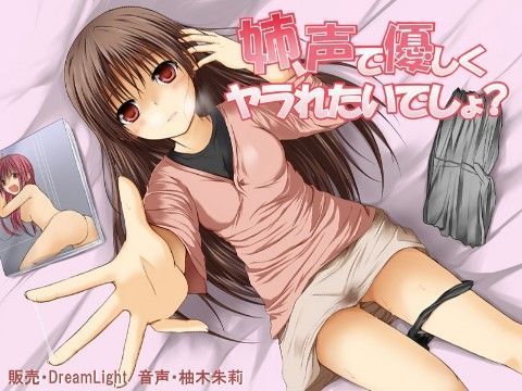 姉、声で優しくヤラれたいでしょ？ (同人誌)