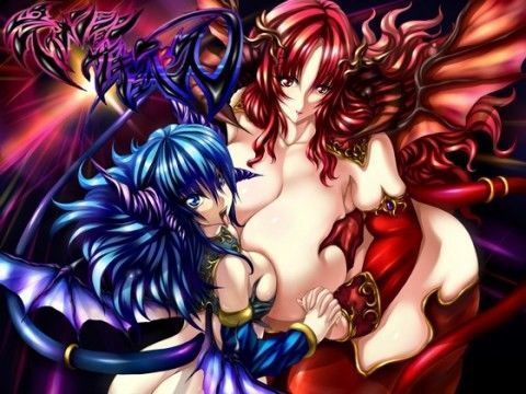 ディメンション・サキュバス (同人誌)