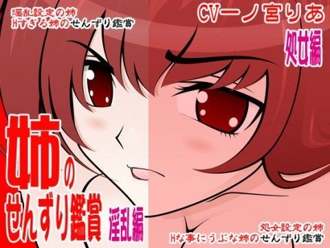 姉のせんずり鑑賞（処女＆淫乱編） (同人誌)