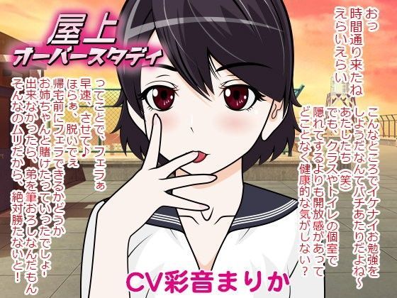 屋上★オーバースタディ (同人誌)