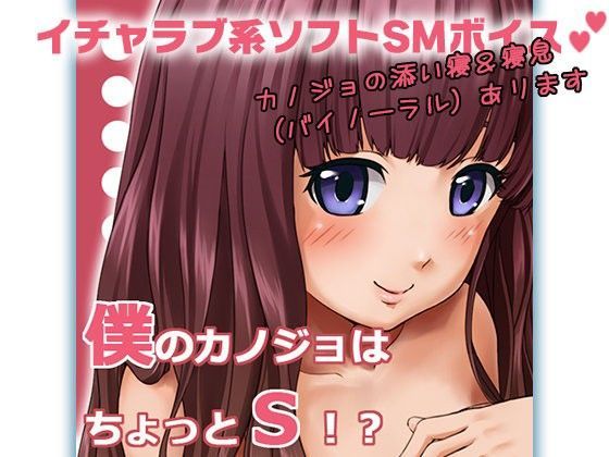僕のカノジョはちょっとS！？ (同人誌)