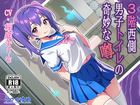 3階西側男子トイレの奇妙な噂 (同人誌)