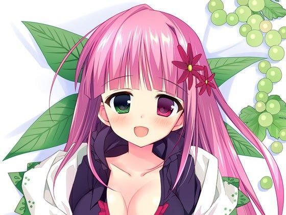 癒されますん！ワイン娘のほろ酔い耳かき らぶらぶ催●風〜泥●注意！？ (同人誌)