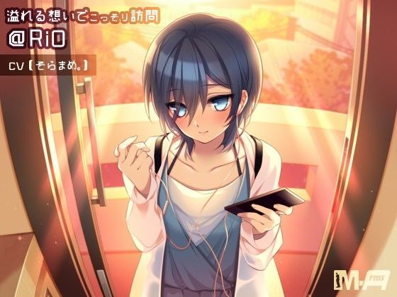 溢れる想いでこっそり訪問 @RiO (同人誌)