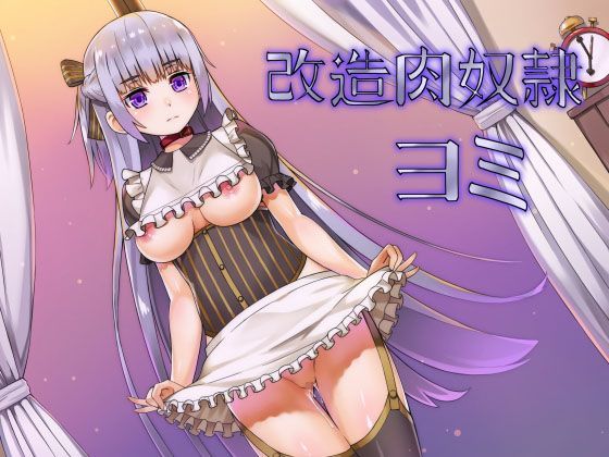 改造肉奴●ヨミ (同人誌)