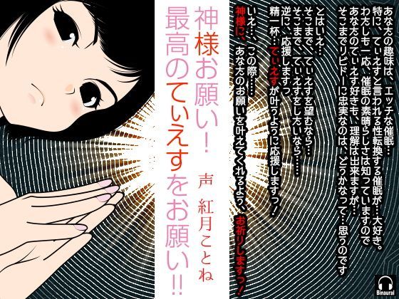 神様お願い！最高のてぃえすをお願い！！ (同人誌)