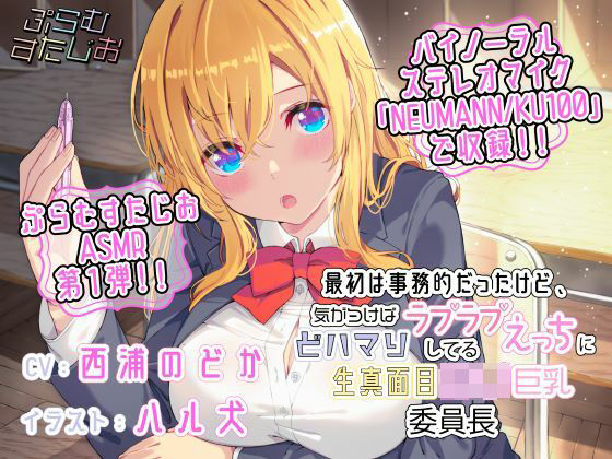 最初は事務的だったけど、気がつけばラブラブえっちにどハマりしてる生真面目ロリ巨乳委員長 (同人誌)