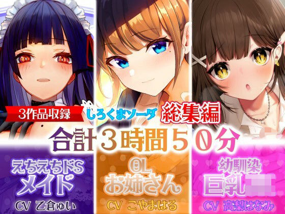 【大ボリューム3時間50分】あなたが好きなのはドSメイド！？それともエッチなOLお姉さん！？はたまた巨乳JK！？【総集編】 (同人誌)
