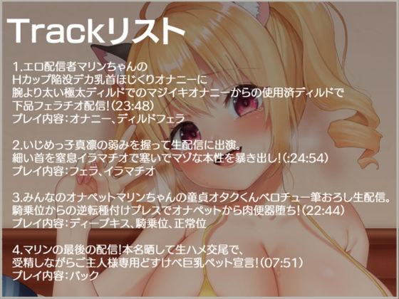 エロ配信してたHカップいじめっ子の弱みを握って専用どすけべ巨乳ペットにした話 (同人誌)