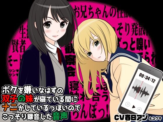 ボクを嫌いなはずの双子の妹が寝ている間にナニかしているっぽいのでこっそり録音した音声 (同人誌)