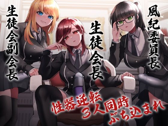 性器逆転 生徒会長 副会長 風紀委員長 3人同時にぶち込まれる (同人誌)