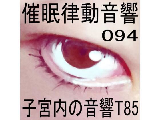 催●律動音響94_子宮内の音響T85 (同人誌)