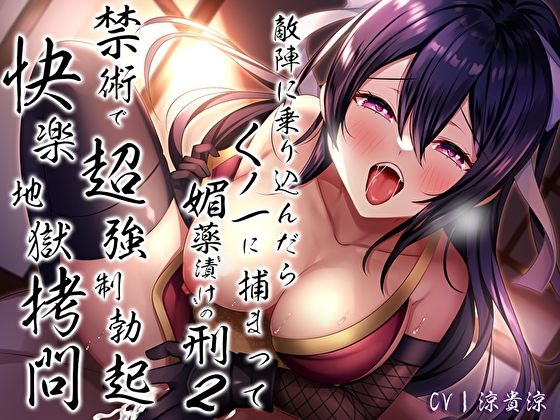 敵陣に乗り込んだらくノ一に捕まって媚薬’漬け’の刑2〜禁術で超強●勃起快楽地獄拷問〜 (同人誌)