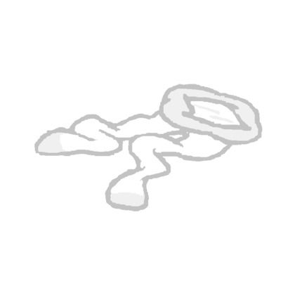 ロリお嬢様のタイツの匂い (同人誌)