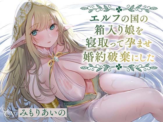 【全編潮吹き】エルフの国の箱入り娘を寝取って孕ませ婚約破棄にした【オホ声】 (同人誌)
