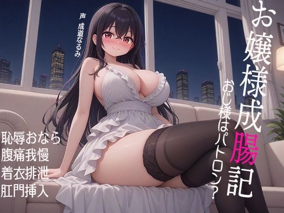 お嬢様成腸記〜おじ様はパトロン？  恥辱おなら  腹痛我慢  着衣排泄  肛門挿入 (同人誌)