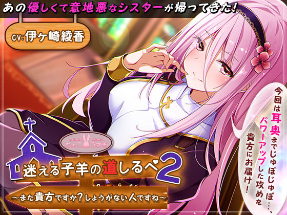 迷える子羊の道しるべ2〜また貴方ですか？しょうがない人ですね〜 (同人誌)