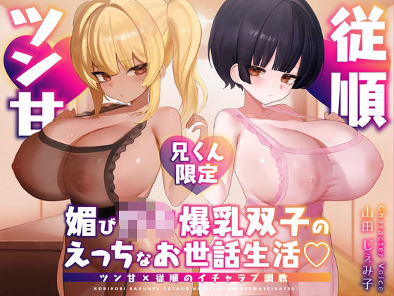 【兄くん限定】媚び〇キ爆乳双子のえっちなお世話生活（はーと） ツン甘×従順のイチャラブ調教【KU100】 (同人誌)
