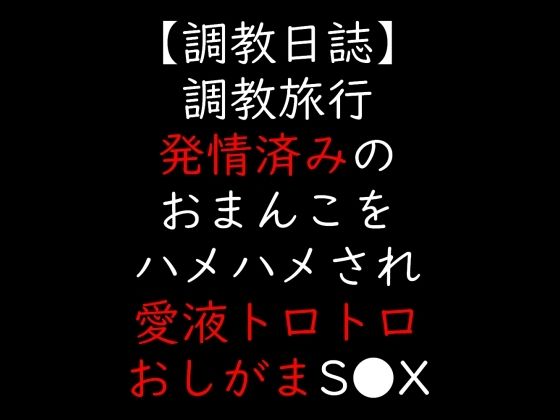 調教旅行  発情済みのおまんこをハメハメされ愛液トロトロおしがまS●X (同人誌)