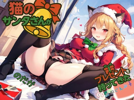 猫のサンタさんがプレゼントを持ってきた…のだが (同人誌)