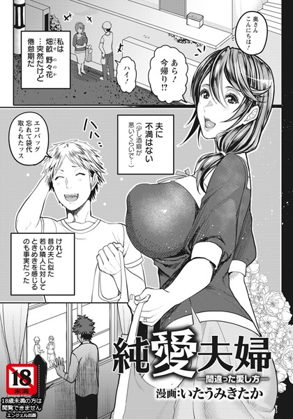 純愛夫婦 〜間違った愛し方〜【単話】（単話）