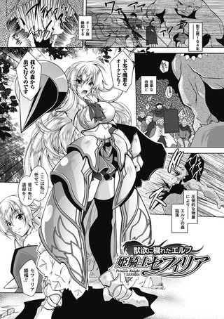 獣欲に穢れたエルフ 姫騎士セフィリア（単話）