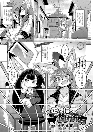 正しい猫の飼われ方（単話）