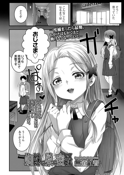 蜘蛛の巣の蜜蜂（単話）