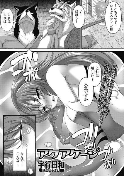 アクアケージ（単話）