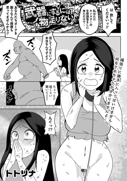 武器にするには物足りない（単話）